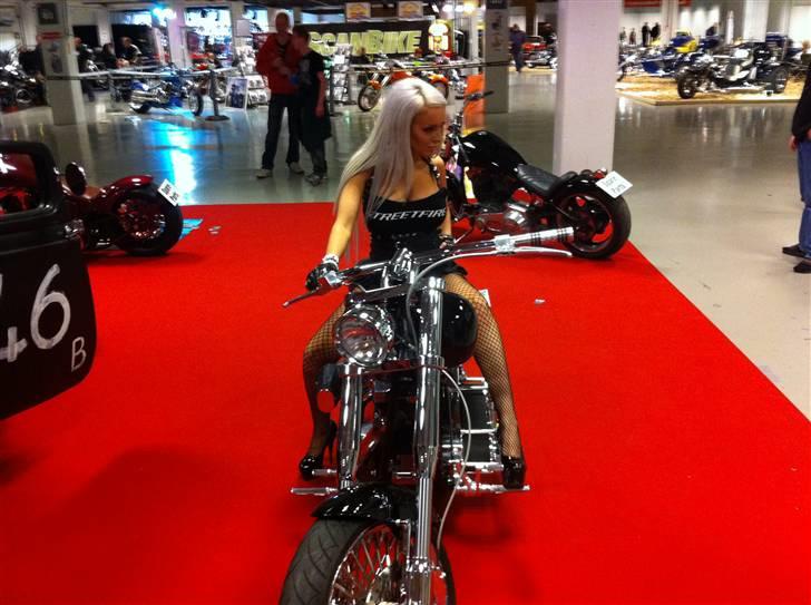 Harley Davidson Softtail billede 5