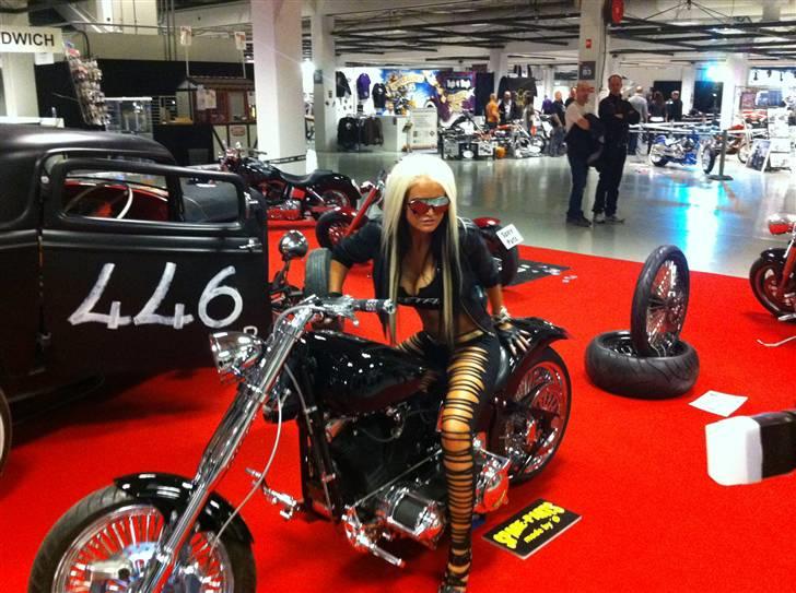 Harley Davidson Softtail billede 6