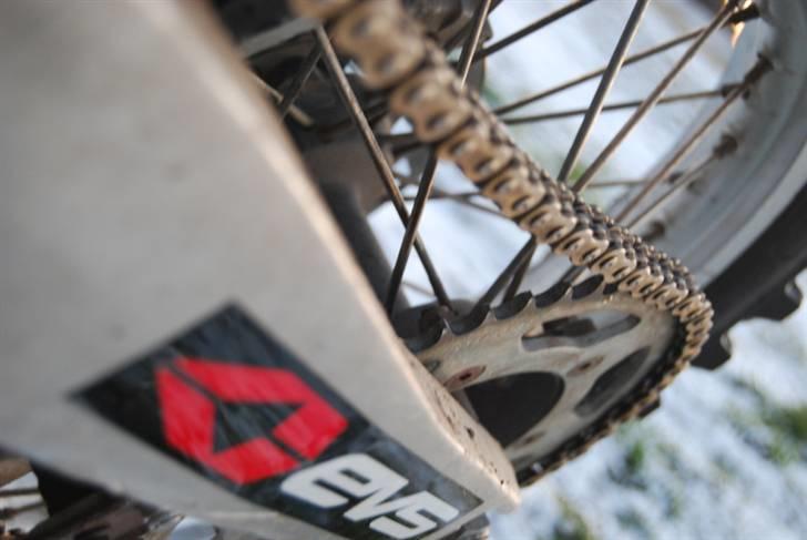 Gas Gas EC 250 Solgt billede 16