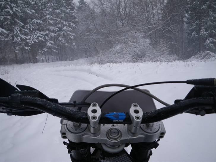 Gas Gas EC 250 Solgt billede 18