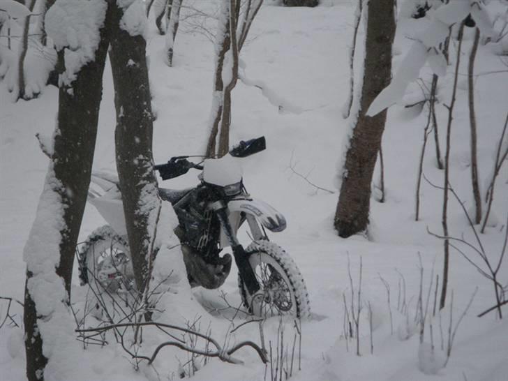 Gas Gas EC 250 Solgt billede 19