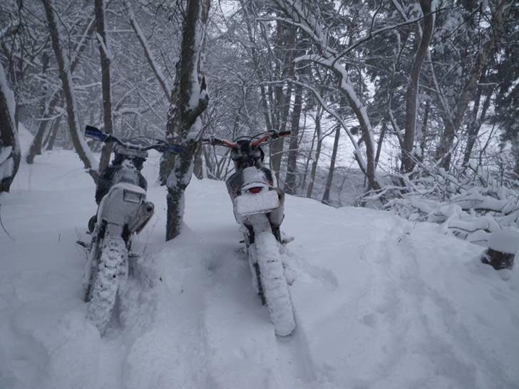 Gas Gas EC 250 Solgt billede 20