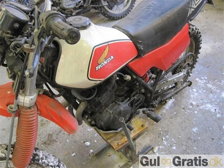 Honda XL 500 billede 4