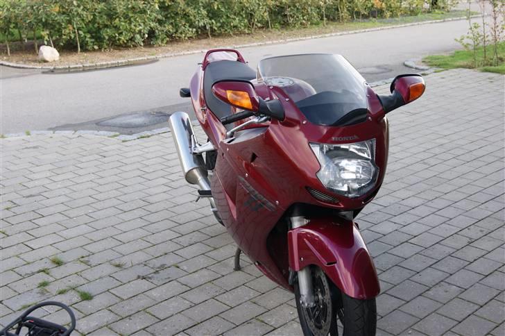 Honda Blackbird billede 1