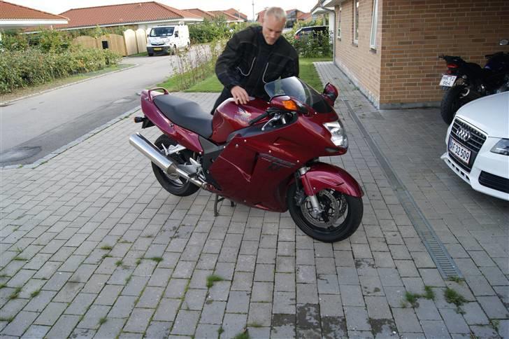 Honda Blackbird billede 2