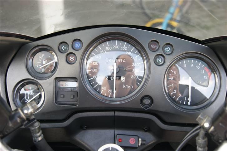 Honda Blackbird billede 3