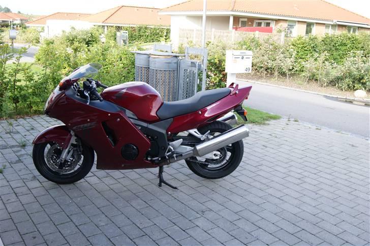 Honda Blackbird billede 5