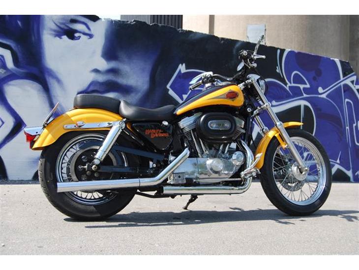 Harley Davidson 883 Sportster billede 1