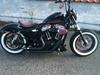 Harley Davidson xl forty eight
