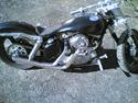 Harley Davidson Iron Sportster