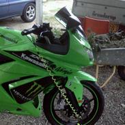 Kawasaki Ninja 250R