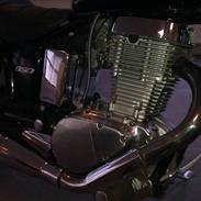 Suzuki savage SOLGT