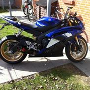 Yamaha YZF R 6