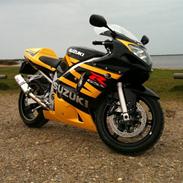 Suzuki gsx-r 600