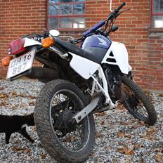 Honda MTX 125R (SOLGT)