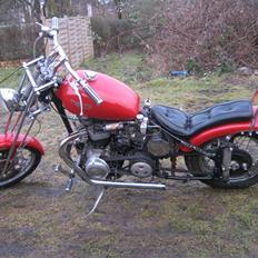 Triumph thunderbird racing