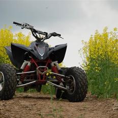 Yamaha YFZ 450 (SOLGT)