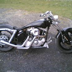 Harley Davidson Iron Sportster
