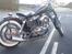 Harley Davidson sportster