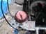 Triumph thunderbird racing