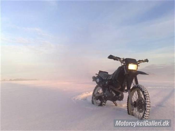 Yamaha XT 600 billede 7