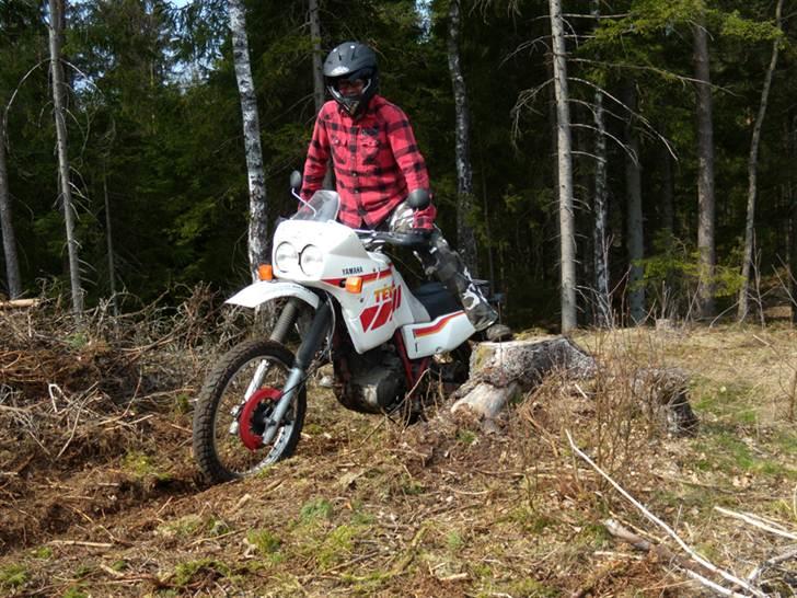 Yamaha XT 600 Z 3AJ Ténéré - Offroad tur i Sverige. billede 1