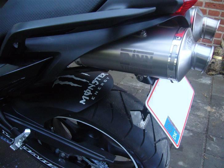 Yamaha FZ6-N billede 8