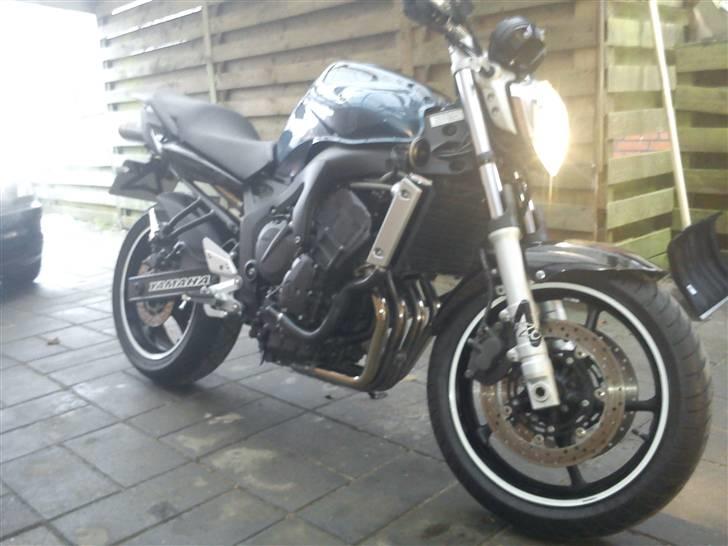 Yamaha FZ6-N billede 11