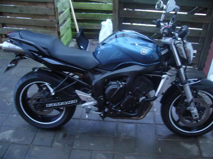 Yamaha FZ6-N billede 12