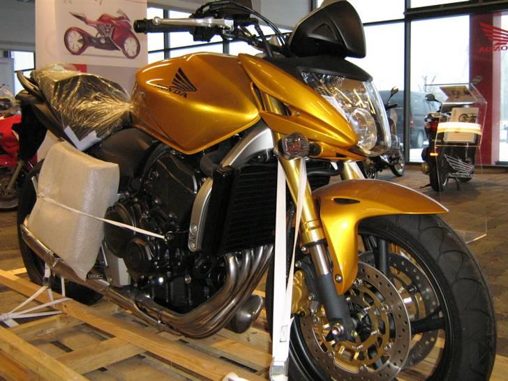 Honda CB600F Hornet billede 1