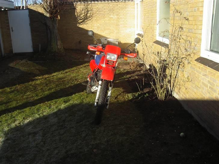 Honda xl350r billede 6