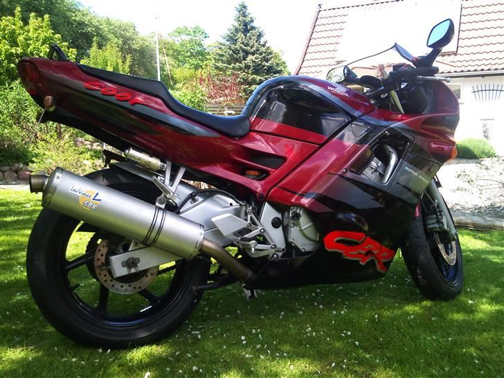 Honda cbr 600 billede 1