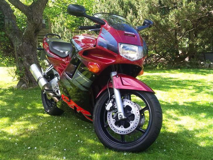 Honda cbr 600 billede 3