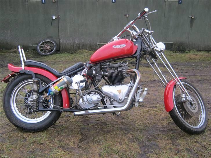 Triumph thunderbird racing billede 1