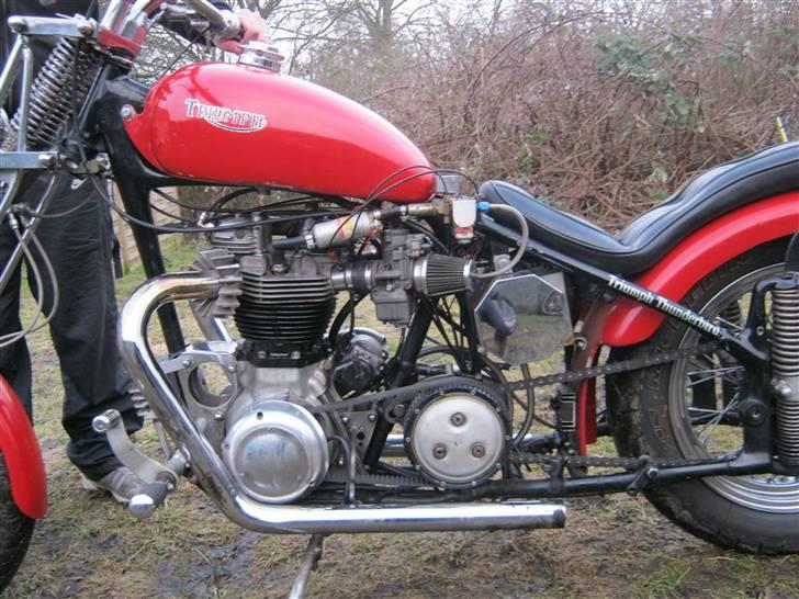 Triumph thunderbird racing billede 4