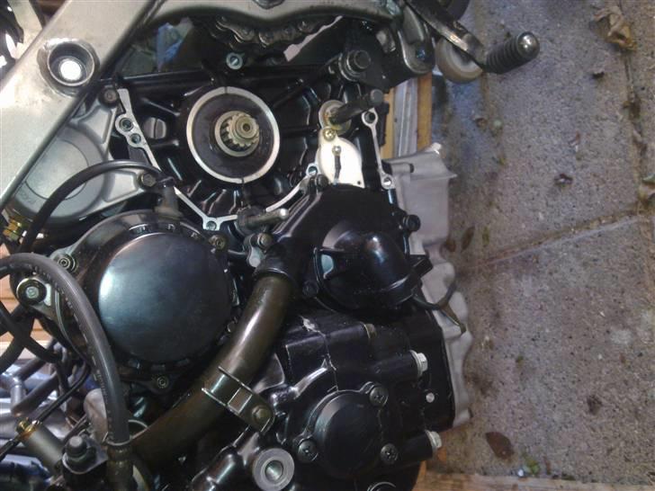 Suzuki SV 1000 N - Se hvor den nye motor skinner billede 17