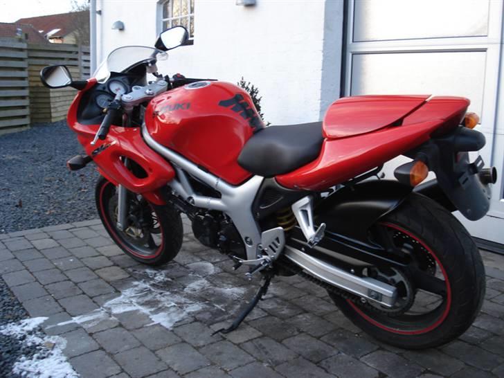 Suzuki SV 650 billede 3