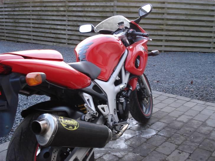 Suzuki SV 650 billede 4