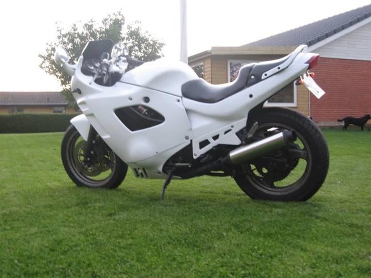 Suzuki GSX 400 F (død) billede 11