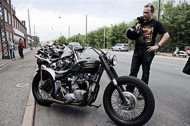 Triumph Hard Tail Chimp (Bobber) SOLGT billede 8