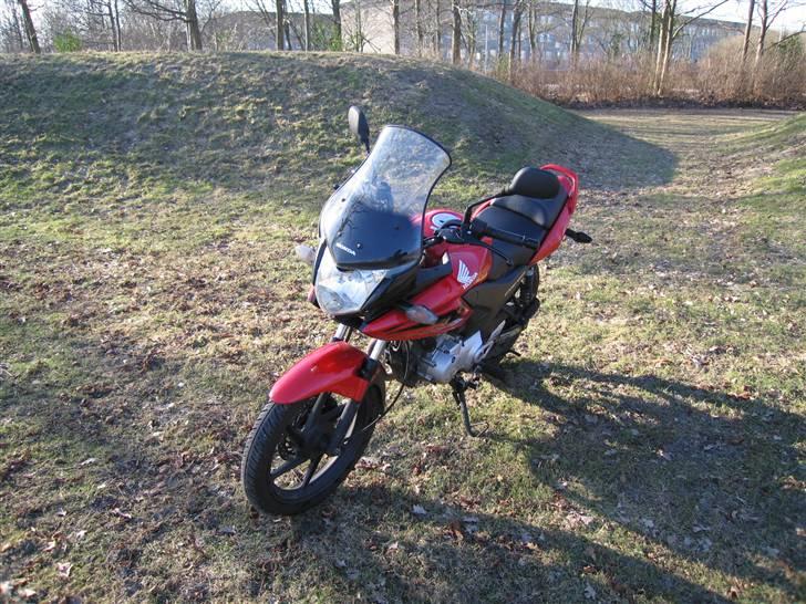 Honda CBF 125 (SOLGT) billede 5