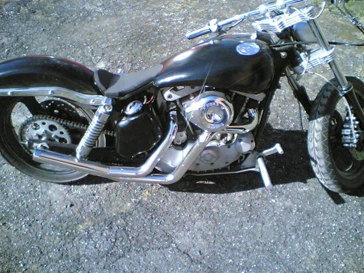 Harley Davidson Iron Sportster billede 1