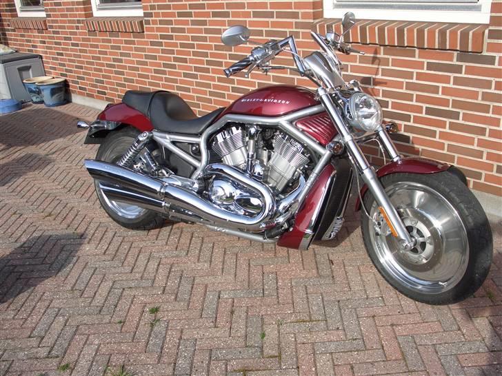 Harley Davidson V-Rod VRSCA billede 1