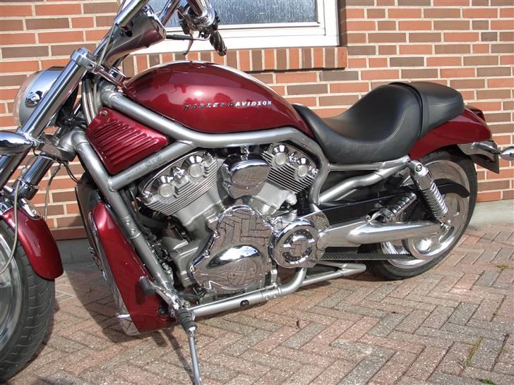Harley Davidson V-Rod VRSCA billede 2