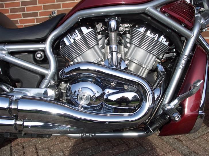 Harley Davidson V-Rod VRSCA billede 3