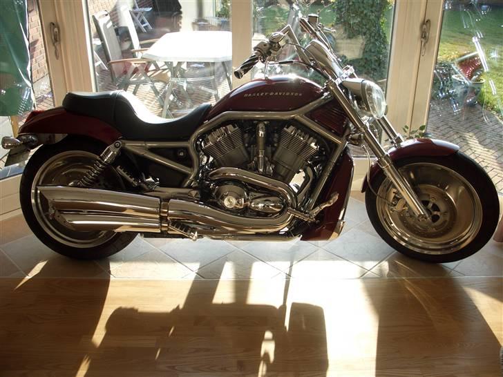 Harley Davidson V-Rod VRSCA billede 5