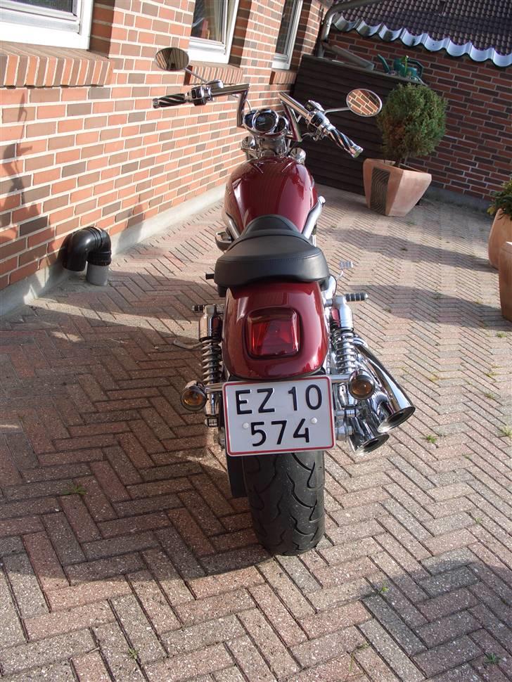 Harley Davidson V-Rod VRSCA billede 6