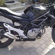 Suzuki SFV 650 Gladius K9