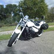 Suzuki Suzuki M 800 Intruder 