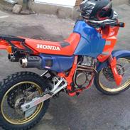 Honda NX